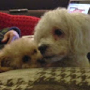 Meet your Posher, Shoko